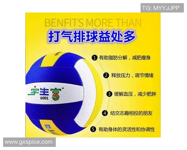 杭州排球队区域防守策略揭秘深度解析排球战术与团队协作