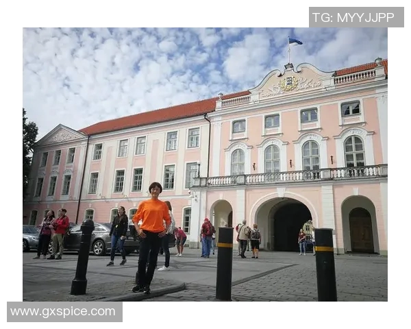 芬兰与爱沙尼亚历史渊源探讨及两国关系演变分析