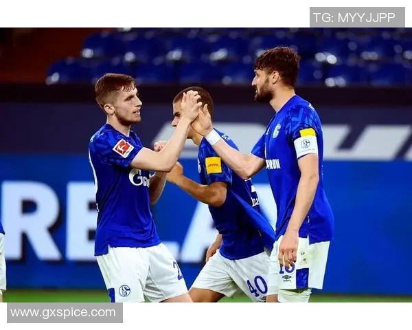 帕德博恩与科隆激战正酣谁能在德乙赛场上笑到最后