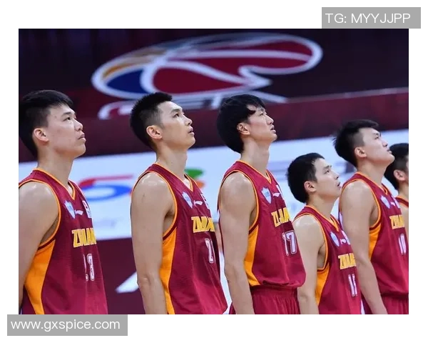 浙江对阵辽宁精彩直播视频全程回放及赛后分析尽在这里