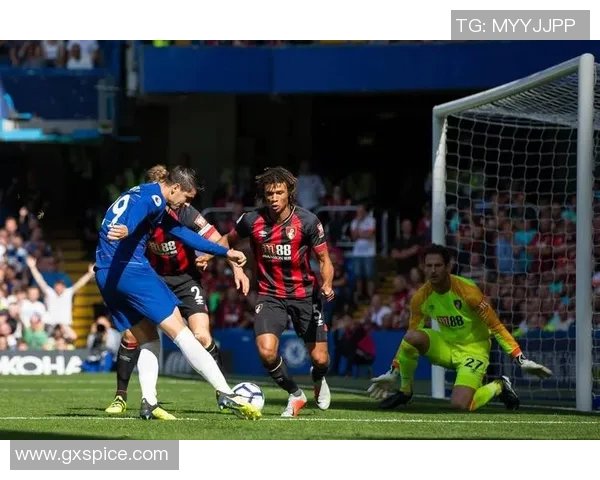 热刺与诺维奇精彩对决录像回放全程回顾与精彩瞬间分析