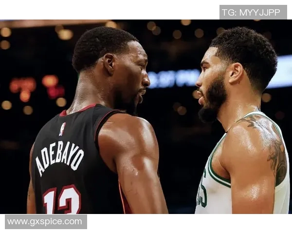 热火与湖人精彩对决直播数据分析全景呈现