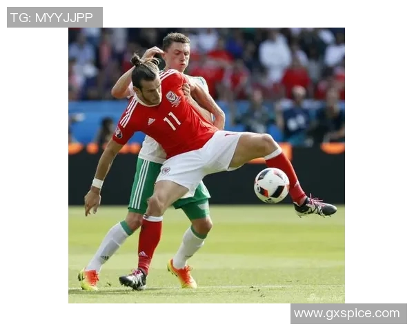 新西兰与北爱尔兰足球对决精彩回顾与赛后分析